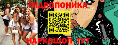 ешки Владимир