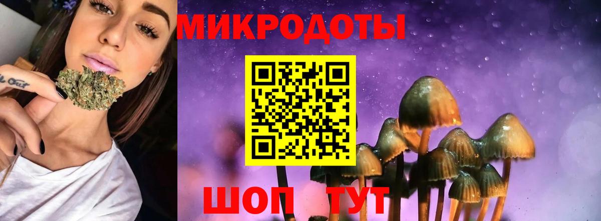 Городец  Галлюциногенные грибы мухоморы  Вход с VPN 
